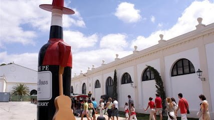 Taxi Jerez - Cadiz - Aeropuerto en Alcalá de los Gazules