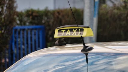 Taxi Palas De Rei-Fernando Gavieiro en Palas de Rey