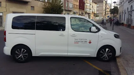 Taxi Juan Trigo en Tortosa