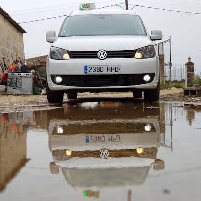 Taxi Selva en Selva