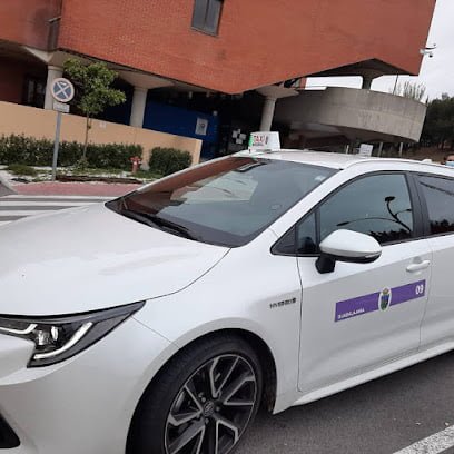Taxi Lramos en Guadalajara