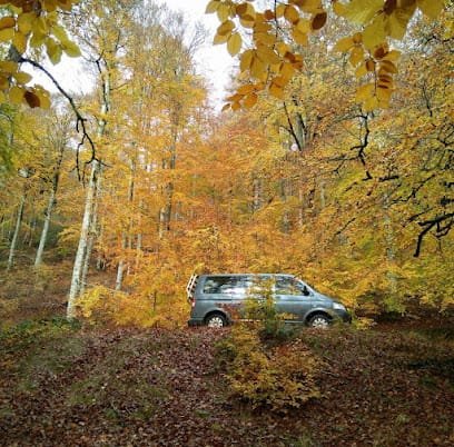 Taxi AuñAk - Roncesvalles - Aezkoa - Garralda en Garralda