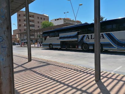 Taxi Guardamar Central Taxis en Guardamar del Segura