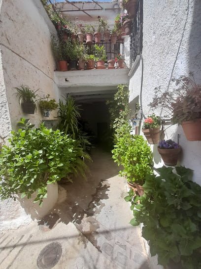 Taxi Alpujarra en Alcolea