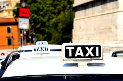 Tele Taxi en Bilbao