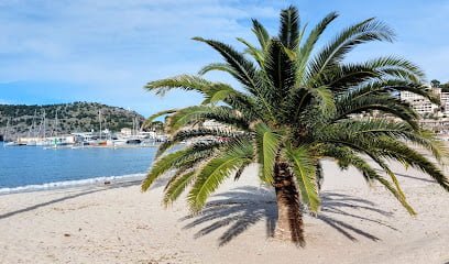 RàDio Taxi SóLler en Puerto de Sóller