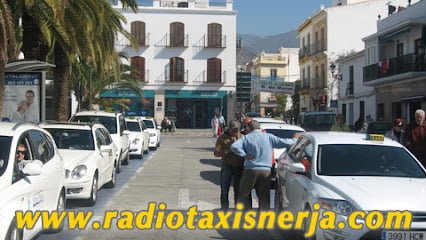 Nerja Taxis - Asociacion Profesional De Autonomos Del Taxi De Nerja en Nerja