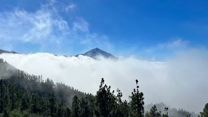 Taxi En Santa Cruz en Santa Cruz de Tenerife