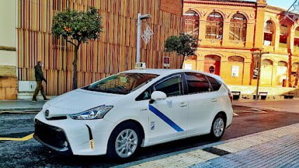Official Taxi MáLaga en Málaga