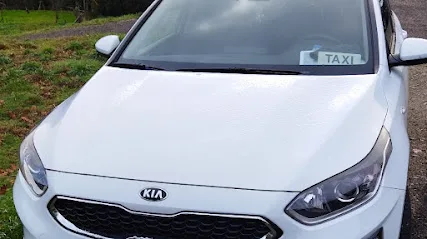 Taxi Julio Arjones 24 Horas (Mondariz-Balneario) en Mondariz-Balneario