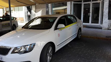 Taxi Francisco Javier PalazóN en Molina de Segura