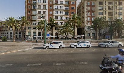Taxi Pets Costa Del Sol en Málaga
