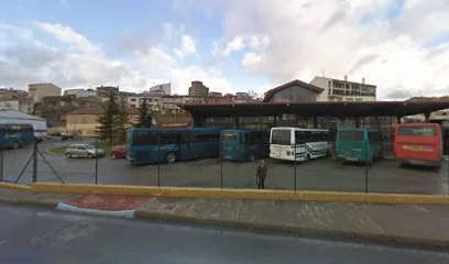 Taxi Paula en Alba de Tormes