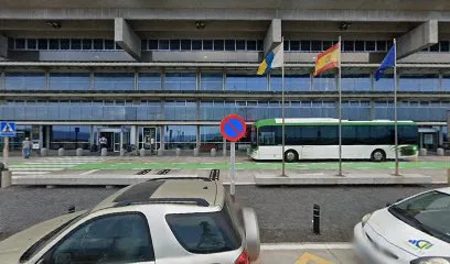 Taxi La Palma (Aeropuerto) en Villa de Mazo