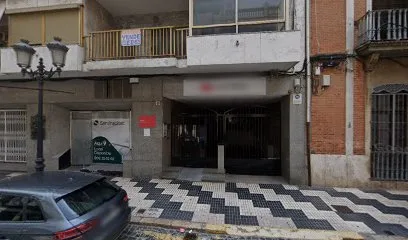 Taxi Magraner 24 Horas Vip en Algemesí